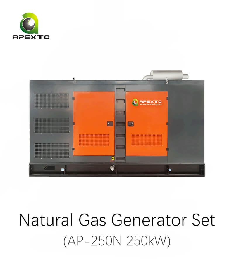 250kW Natural Gas Generator Set for Crypto Mining Support Customization