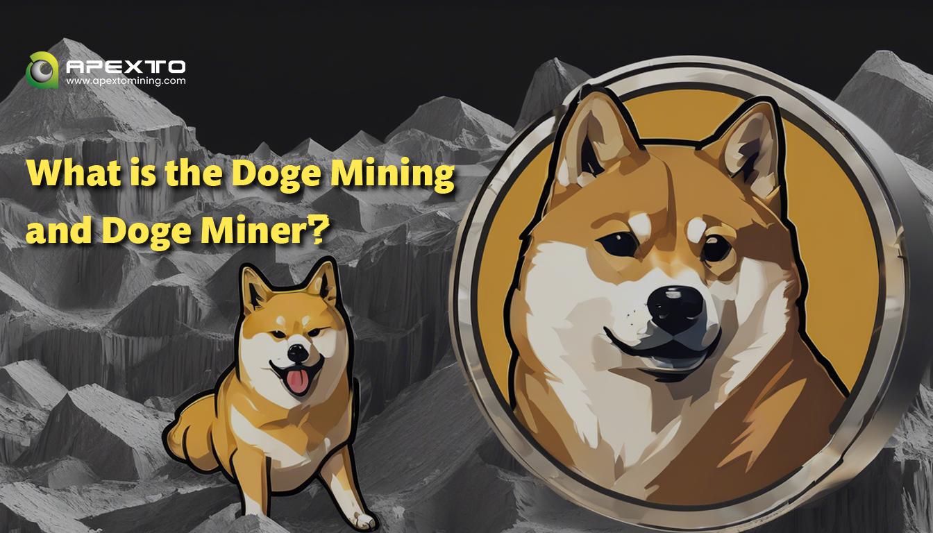 What is the Doge Mining and Doge Miner？