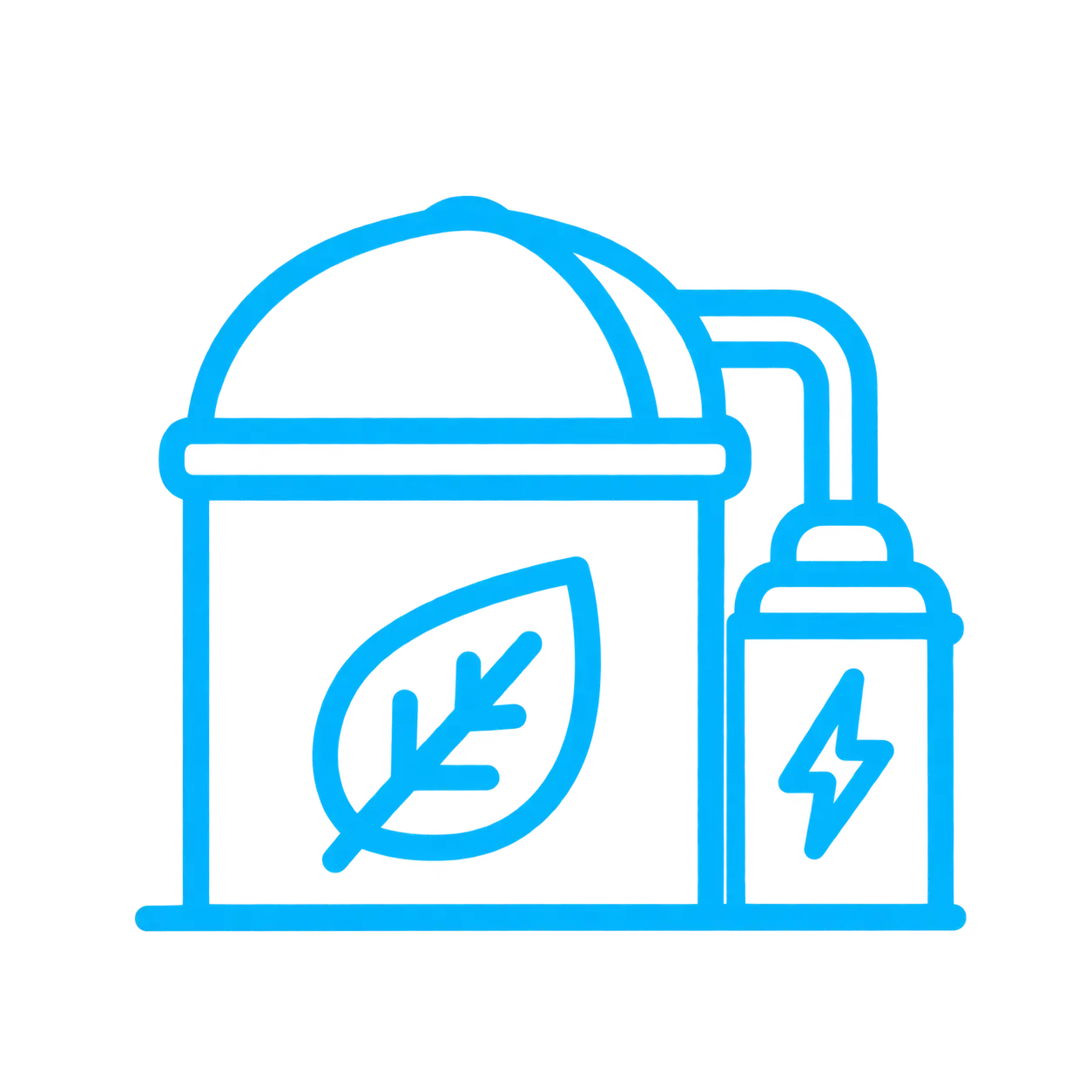BIOGASBIOMASS